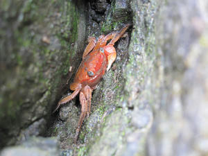 IMG_8020-600.JPG