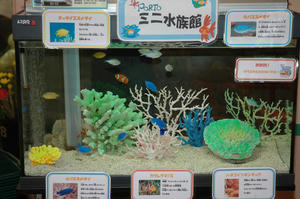 DSC_9118-600.JPG