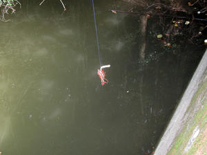 IMG_4447-600.JPG