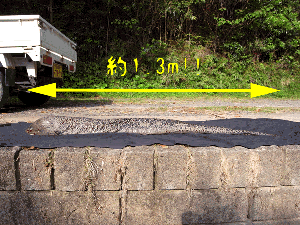 2.gif