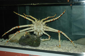 DSC_2820-600.JPG