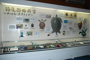 DSC_2947-600.JPG