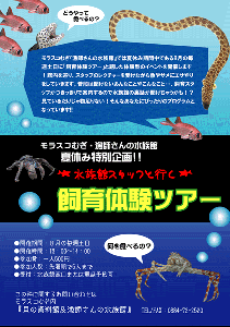 6a27ec4e.gif