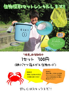 81d942cd.jpeg