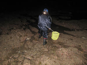IMG_2420-600.jpg
