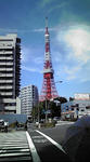 F1010366.jpg