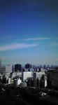 F1010367.jpg