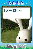 pet0021.JPG
