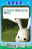 pet0022.JPG