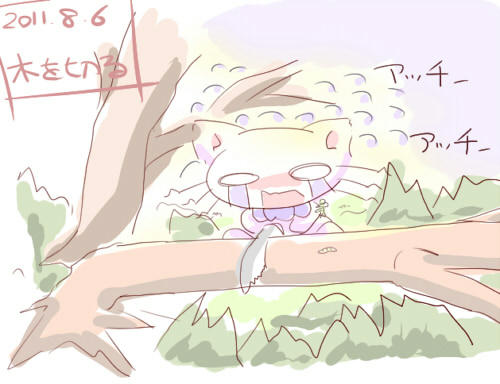 870633ee.jpg