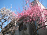 d0773f35.JPG