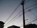 5699a996.JPG