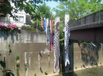 05123f8a.JPG