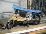 2648ea24.JPG
