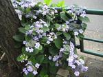 ebb8b97f.JPG