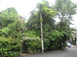 3e7c3410.JPG