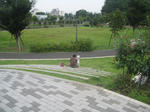 876b5f18.JPG