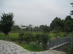 113308f5.JPG