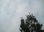 51a35792.JPG
