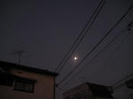 6f74359f.JPG
