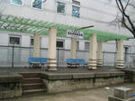 fd9c1a62.JPG