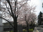 ef104a60.jpeg