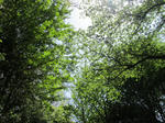a0bc7f60.JPG