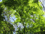 2091094f.JPG