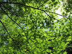 689f66d5.jpg