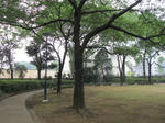 IMG_1691.JPG