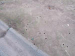 IMG_1692.JPG