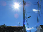 c9568991.JPG