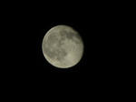 37f16ca4.jpg