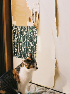 fusuma.JPG