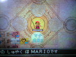 mario.JPG