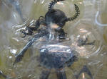 IMG_2993.JPG