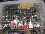 IMG_5539.JPG