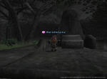 白魔道士Lv55