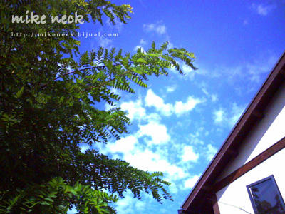 PICT0054_3b.jpg