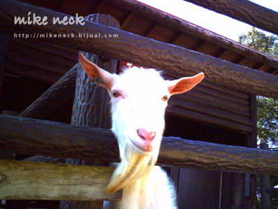 PICT0036_5b.jpg