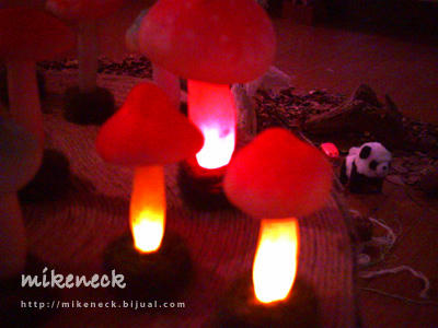 PICT0066_6b.jpg