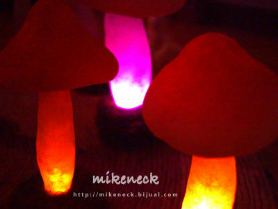 PICT0065_6b.jpg