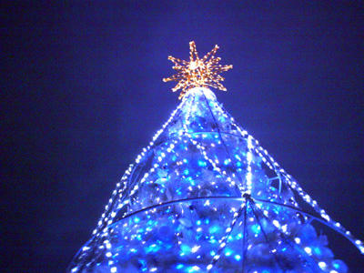 PICT0023_9b.jpg