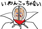 kumoru.jpg