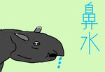 hanamizu.jpg