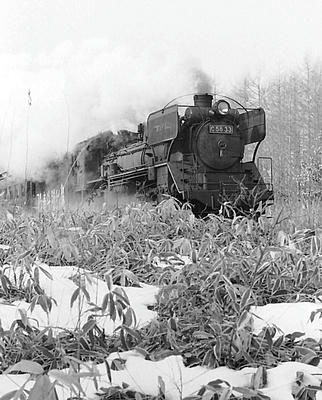 63a8ea23.jpg