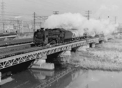 749c283a.JPG