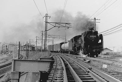58b149da.JPG