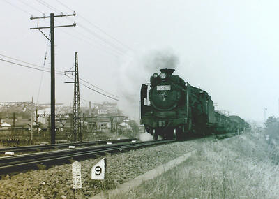 517b92c5.jpg