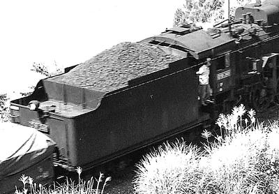 2f944d8a.jpg